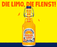 Flensburger Küsten Limo Orange 20x0,33 l (Mehrweg)